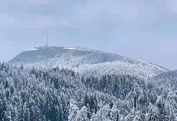 仙女山滑雪场第 22 张图片
