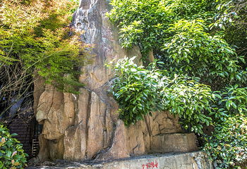 爱莲池第 2 张图片