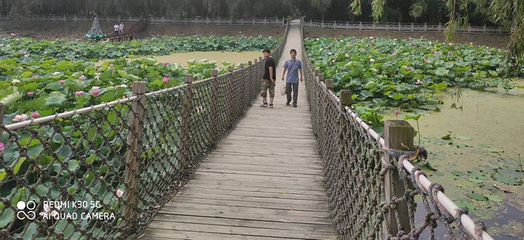 太清宫第 13 张图片