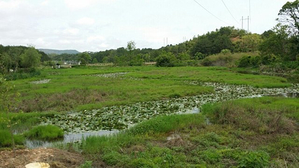 汀江国家湿地公园第 27 张图片