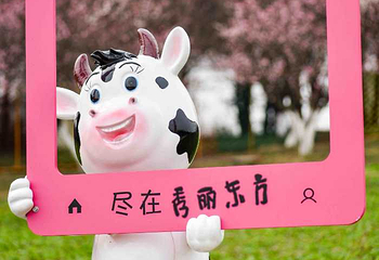 秀丽东方·生态鱼火锅(秀丽东方店)第 119 张图片