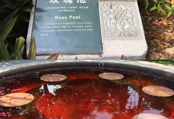 卓思道温泉第 41 张图片