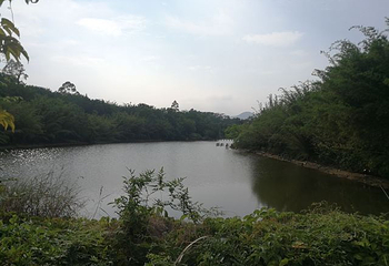 潮州绿岛旅游山庄第 46 张图片