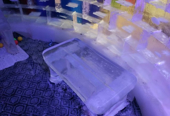 侏罗纪冰雪乐园(横岗店)第 43 张图片