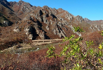 猫儿岭古墓群第 2 张图片
