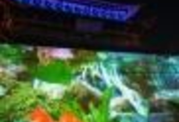 聊城水上古城第 19 张图片