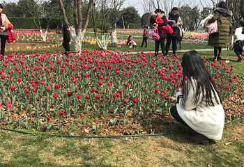 龙虎山花语世界第 38 张图片