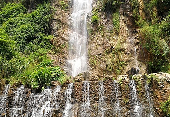 大云雾山旅游区第 48 张图片