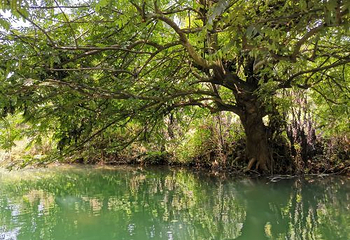 多依河第 50 张图片
