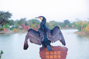 天鹅湖动物基地第 14 张图片