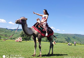 那拉提旅游风景区第 48 张图片