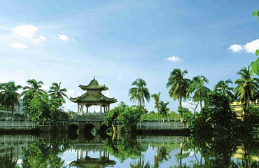 湛江南亚热带植物园第 15 张图片