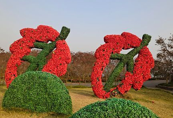 南湖多彩植物园第 43 张图片