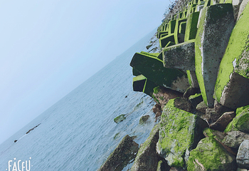 青岛第三海水浴场第 17 张图片