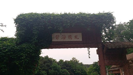九龙山国家森林公园第 31 张图片