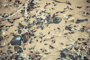 文公山第 31 张图片