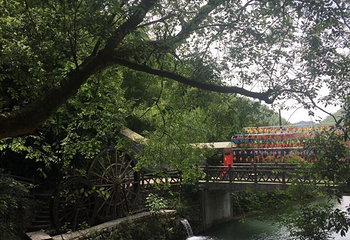 竹海滑道第 4 张图片