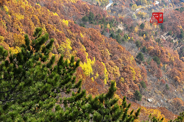 雾灵山生态旅游区第 26 张图片