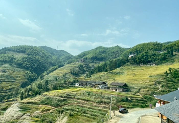 紫鹊界梯田第 34 张图片