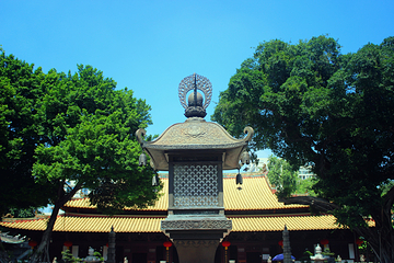 光孝寺第 28 张图片