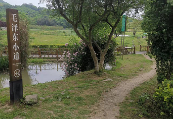 苟坝会议会址第 8 张图片