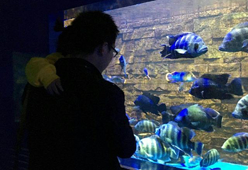 徐州海底世界第 36 张图片