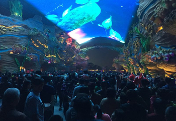 广州至澳门珠海往返直通车第 16 张图片