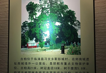 邺城博物馆第 17 张图片