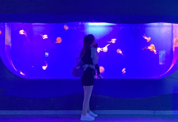 赣州极地海洋世界第 30 张图片
