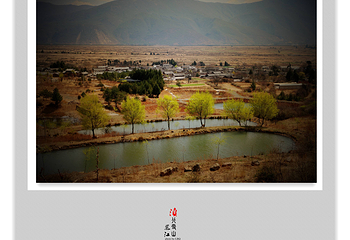 玉峰寺第 12 张图片