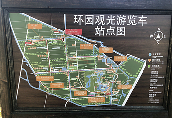 长兴岛郊野公园第 74 张图片