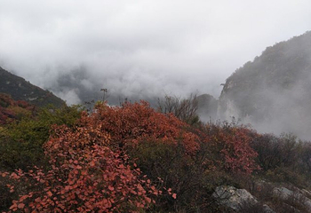 仙界山第 76 张图片