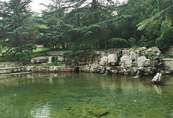 老龙湾第 28 张图片