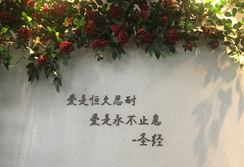 甜爱路第 18 张图片