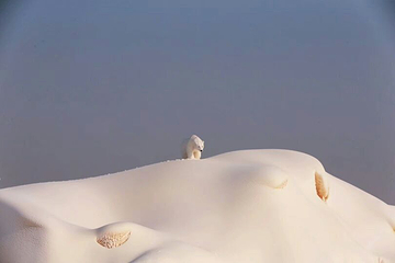 冰源世纪冰雪王国第 60 张图片