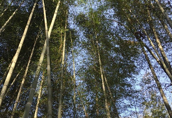 红寺湖第 11 张图片