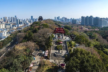 蛇山第 24 张图片