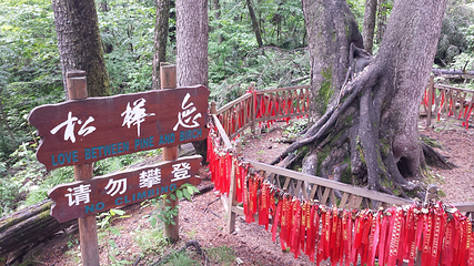 长白山大峡谷第 4 张图片