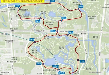 奥林匹克森林公园第 86 张图片
