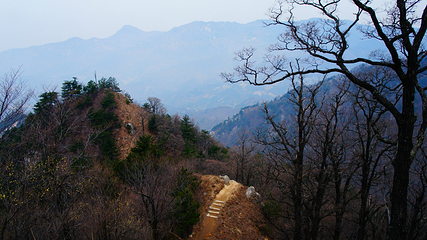 大别山主峰景区白马尖第 67 张图片
