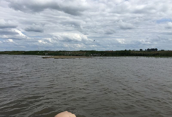 滨江湿地旅游风景区第 40 张图片