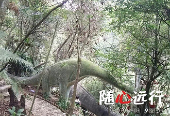 厦门野山谷景区第 57 张图片