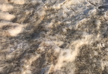 西湖滑雪场第 14 张图片