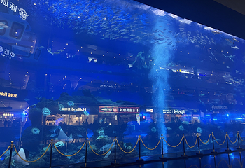 海滨城浩海立方海洋公园第 54 张图片