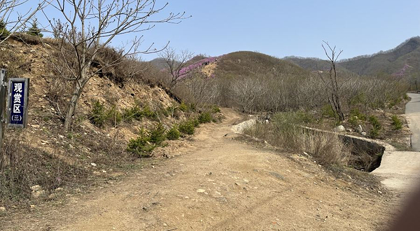 岫岩黄岭映山红景区