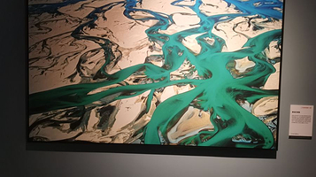 【安徽首展】中国国家地理·探索 极致发现科学艺术影像展