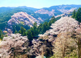 吉水神社