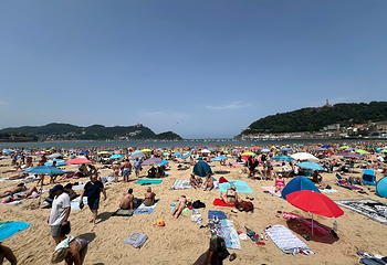 贝壳海滩第 9 张图片