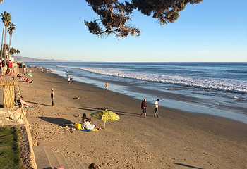 Butterfly Beach第 13 张图片
