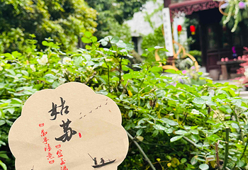 拙政园第 148 张图片